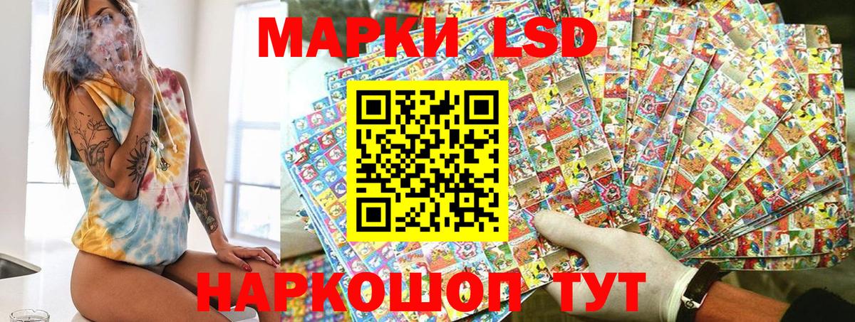 Наркотические марки 1,8мг  Наркотические марки 1,8мг  Карачаевск  Вход с VPN 