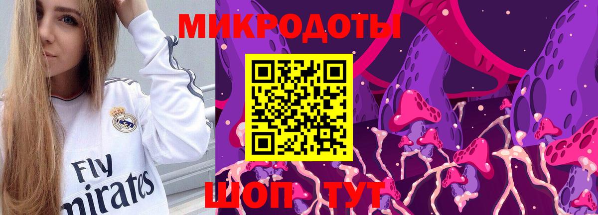 Галлюциногенные грибы прущие грибы Карачаевск