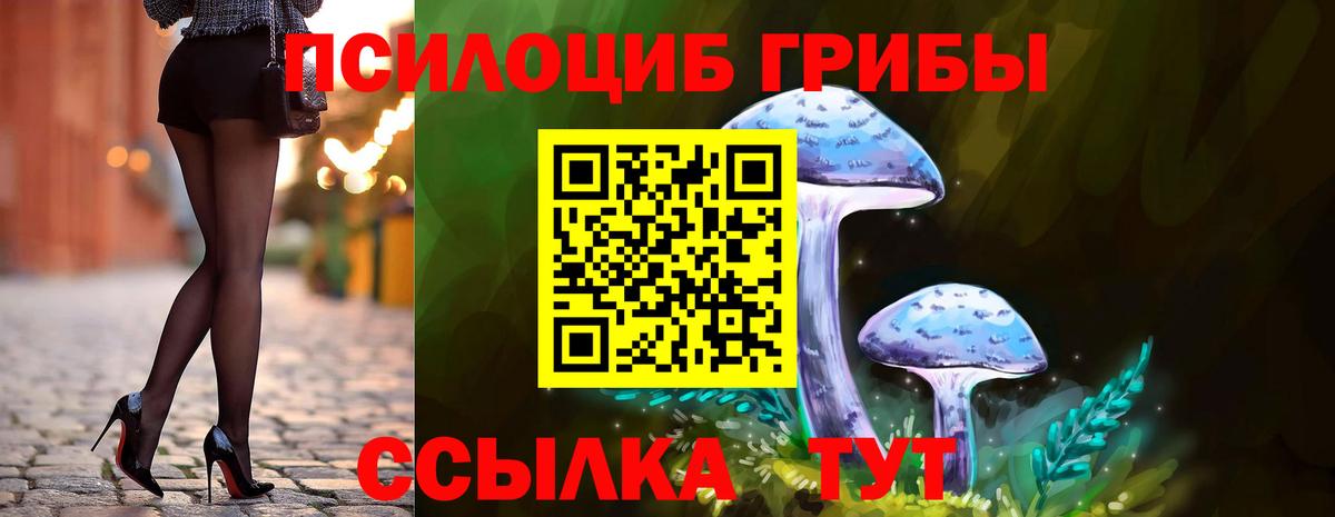 Карачаевск  цены наркотик  Вход с VPN  Галлюциногенные грибы прущие грибы 